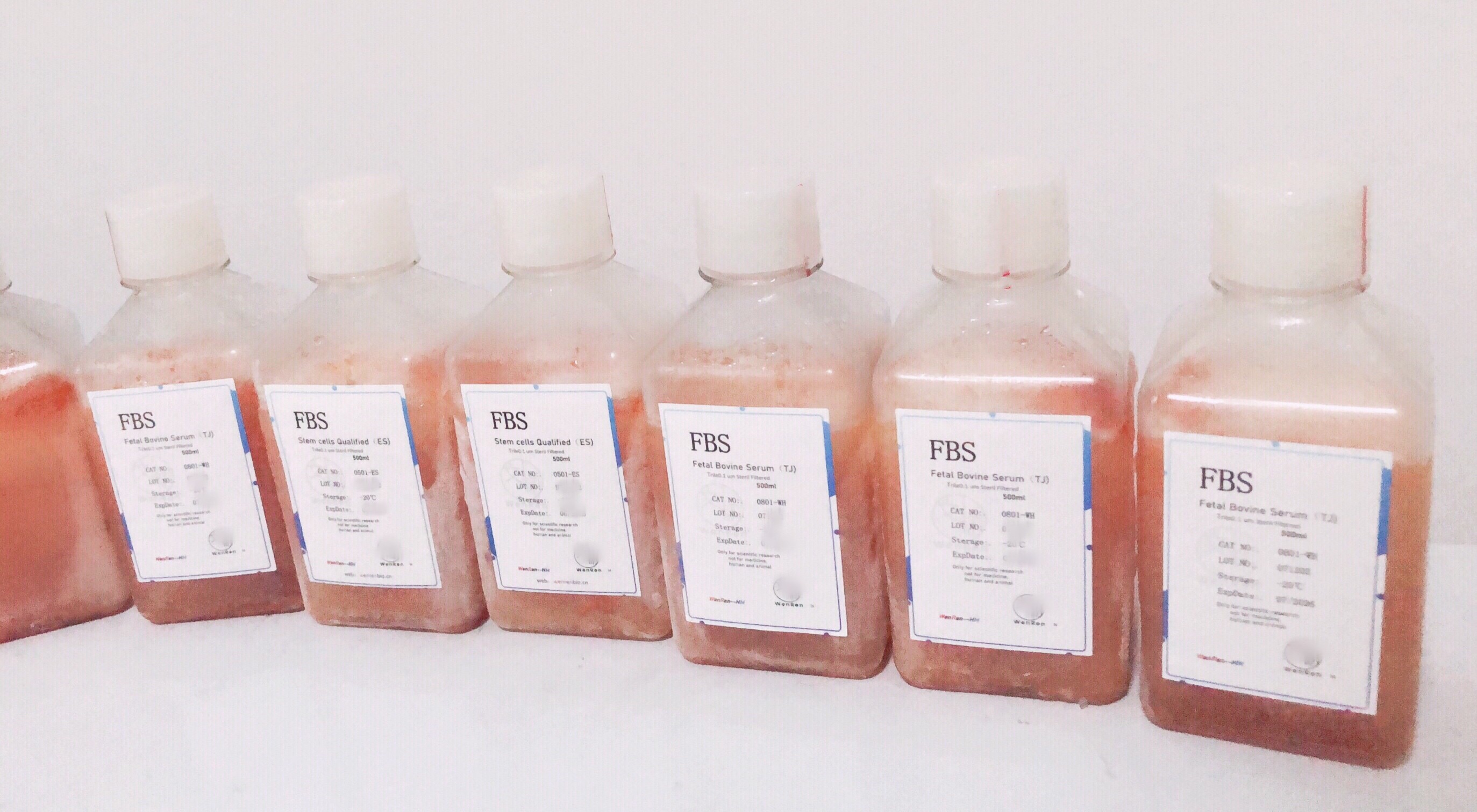 热灭活胎牛血清（Heat-Inactivated）